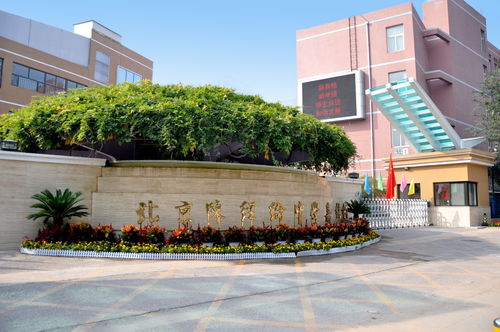 師德先進單位 陳經綸中學嘉銘分校 以一流的隊伍辦一流的教育