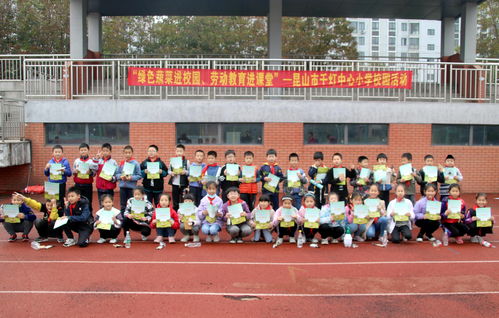 綠色蔬菜進校園 勞動教育進課堂 昆山市千燈中心小學開展勞動教育實踐活動