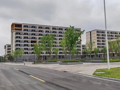 今秋開學 撫州迎來一所新高校