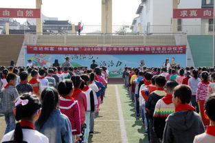 全國青少年科技創新活動服務平臺