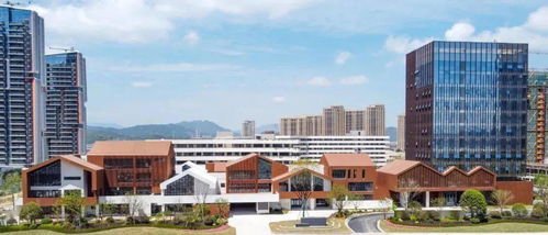 紅盤解碼 國鴻中心硬核產品力扛鼎溫州改善市場