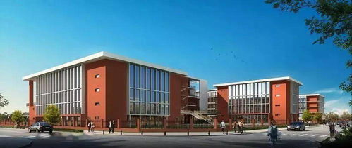 苗橋小學和城南中學學區劃分確定,這個小區業主笑了