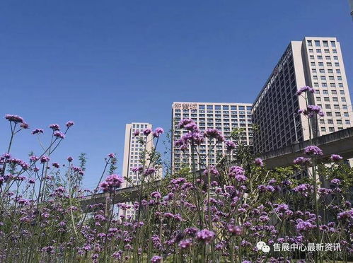 真相揭秘 昆山花橋智慧城公寓真相非常震驚 究竟怎么回事 背后原因震驚了