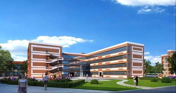 這些片區的孩子要換新學校啦 岳陽市第十八中學即將成立