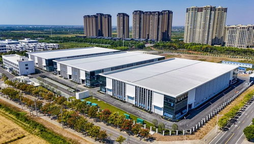 國慶獻禮 圖鑒 一起來看, 城 長高新