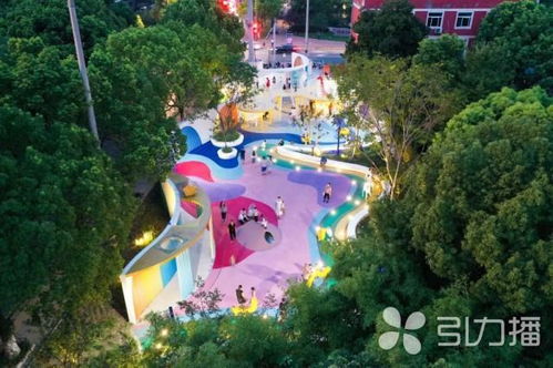 轉角遇見美——31個口袋公園獲評年度最美昆山市花橋中心校