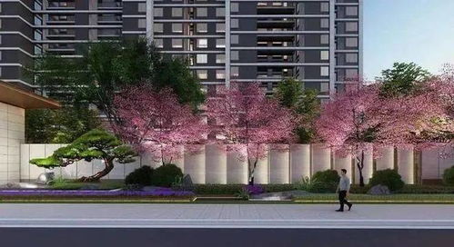 聚焦昆山璞境云庭 花橋優質學區樓盤解析