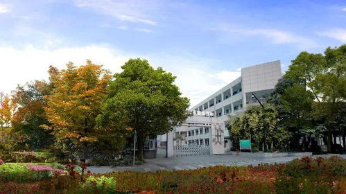 喜報 熱烈祝賀我校獲評浙江省高水平專業群建設單位