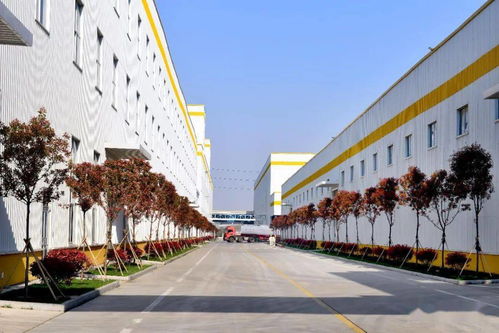 莒南花生 探秘花生世界，開啟研學之旅