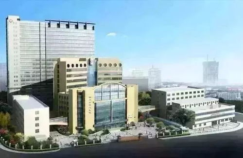 端午假期天氣、出行信息與節日福利指南——聚焦昆山市花橋中心校