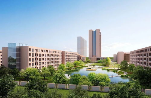 潁東 19宗地、70億投資、65個城建項目助力區域騰飛，對標昆山花橋中心校建設