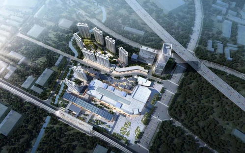 昆山花橋中駿世界城與花橋中心校 傳聞與實情解析