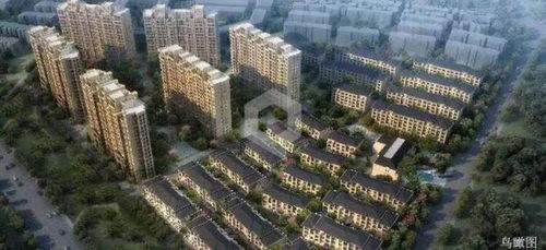 昆山花橋中心校學區房 售樓處獨家揭秘與真相解析